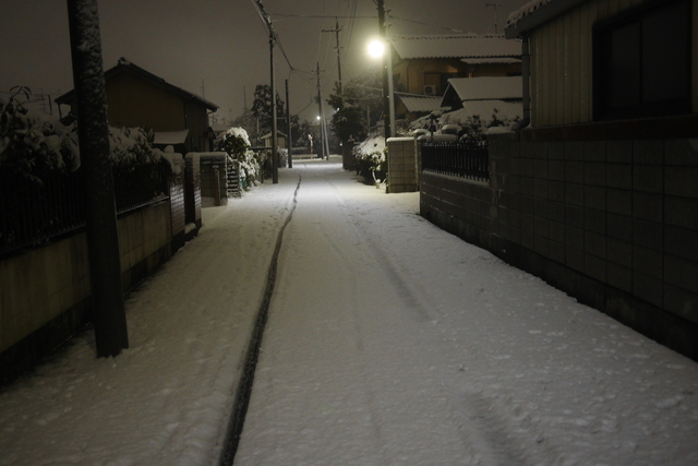P1080184.JPG